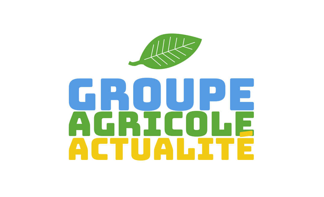 Retour et projet pour le groupe Agricole